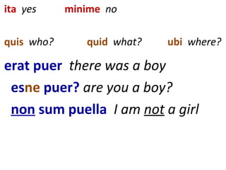 ita yes minime no
quis who? quid what? ubi where?
erat puer there was a boy
esne puer? are you a boy?
non sum puella I am not a girl
 