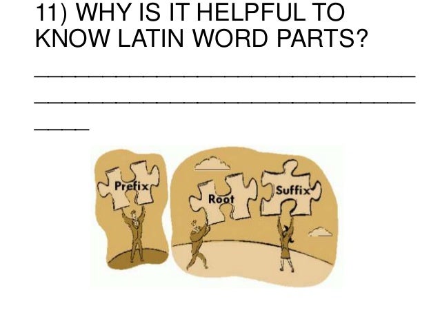 homework on latin
