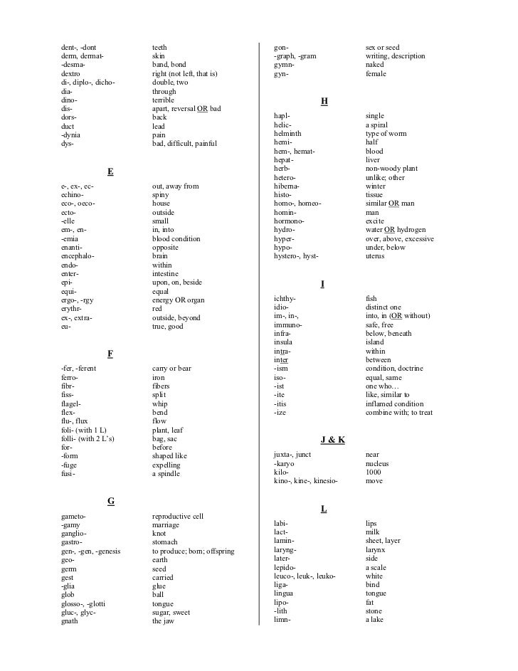 English To Latin Word List 112