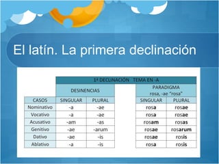 El latín. La primera declinación
 