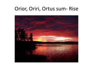 Orior, Oriri, Ortus sum- Rise