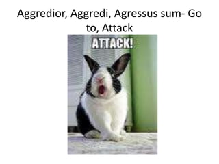 Aggredior, Aggredi, Agressus sum- Go to, Attack