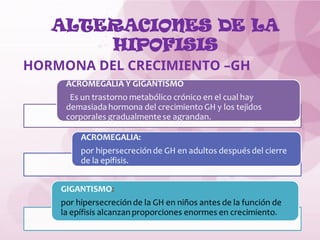 ALTERACIONES DE LA
HIPOFISIS
HORMONA DEL CRECIMIENTO –GH
 