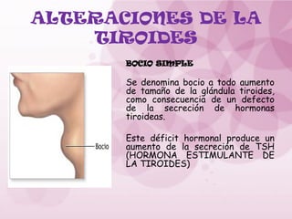 ALTERACIONES DE LA
TIROIDES
BOCIO SIMPLE
Se denomina bocio a todo aumento
de tamaño de la glán­
dula tiroides,
como consecuencia de un defecto
de la secreción de hormonas
tiroideas.
Este déficit hormonal produce un
aumento de la secreción de TSH
(HORMONA ESTIMULANTE DE
LA TIROIDES)
 