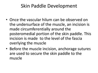 Skin Paddle Incision Latissimus dorsi myocutaneous pedicled flap | PPT