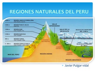  Javier Pulgar vidal
 