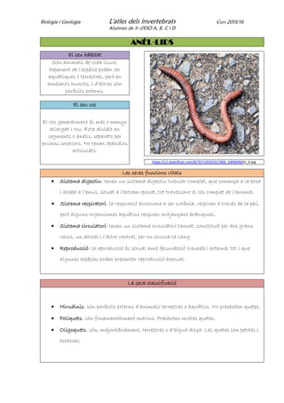 Biologia i Geologia L'atles dels invertebrats Curs 2015/16
Alumnes de 1r d'ESO A, B, C i D
ANÈL·LIDS
El seu hàbitat
Són animals de vida lliure.
Depenent de l’espècie poden ser
aquàtiques o terrestres, però en
ambients humits, i d’altres són
paràsits externs.
El seu cos
El cos generalment és més o menys
allargat i tou. Esta dividit en
segments o anells, separats per
envans interiors. No tenen apèndixs
articulats.
https://c2.staticflickr.com/8/7071/6935317800_3dfdb99d2c_b.jpg
Les seves funcions vitals
 Sistema digestiu: tenen un sistema digestiu tubular complet, que comença a la boca
i acaba a l’anus, situat a l’extrem oposat, tot travessant el cos complet de l’animal.
 Sistema respiratori: la respiració acostuma a ser cutània, respiren a través de la pell,
però alguns organismes aquàtics respiren mitjançant brànquies.
 Sistema circulatori: tenen un sistema circulatori tancat, constituït per dos grans
vasos, un dorsal i l’altre ventral, per on circula la sang
 Reproducció: la reproducció és sexual amb fecundació creuada i externa, tot i que
algunes espècies poden presentar reproducció asexual.
La seva classificació
 Hirudinis: són paràsits externs d’animals terrestres o aquàtics. No presenten quetes.
 Poliquets: són fonamentalment marins. Presenten moltes quetes.
 Oligoquets: són, majoritàriament, terrestres o d’aigua dolça. Les quetes són petites i
escasses.
 