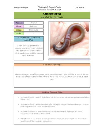Biologia i Geologia L'atles dels invertebrats Curs 2015/16
Alumnes de 1r d'ESO A, B, C i D
Cuc de terra
Lumbricina terristris
Regne Animal
Fílum Anèl·lids
Classe Oligoquets
Ordre -
El seu hàbitat / Distribució
geogràfica
Viu en terrenys pantanosos i
humits, baix terra. Va ser originat
a Europa i es va introduir en els
altres continents. No hi ha cucs de
terra a la mar.
https://www.google.es/search?q=gusano+de+tierra&lr=&hl=ca&tbs=sur:f&source=lnms&tbm=isch&sa=X&ved=0ahUKEwiiq9zPl_fMAhVHOhQKHdIxBTkQ_AUIBygB&biw=1024&bih=483#imgdii=5cpNe1fbnbNj2M%3A%3B5cpNe1fbnbNj2M%3A%3BA6wBCeW7KhnMBM%3A&imgrc=5cpNe1fbnbNj2M%3A
El seu cos / Morfologia
Té el cos allargat, marró i groguenc per la part del davant i més pàl·lid a la part de darrere.
El seu cos està format per molts d’anells. No té ulls, ni nas, i nota la llum a través de la
pell.
Les seves funcions vitals
 Sistema digestiu: L’aparell digestiu del cuc de terra es un tub continu que va des de la boca
fins a l’anus.
 Sistema respiratori: El cuc de terra respira per la pell, han de tenir la pell humida i neta per
poder respirar millor. Tenen respiració cutània.
 Sistema circulatori: L’aparell circulatori del cuc de terra està format per dos vasos
sanguinis, un és dorsal i l’altre ventral.
 Reproducció: El cuc de terra és hermafrodita. És ovípar, sol tenir uns 15 ous de tirada. La
seva incubació dura unes 2 o 3 setmanes.
 