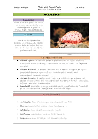 Biologia i Geologia L'atles dels invertebrats Curs 2015/16
Alumnes de 1r d'ESO A, B, C i D
MOL·LUSCS
El seu hàbitat
Viuen a la mar alguns a les roques
i altres a mars poc profunds, en la
zona temperada. Alguns són
d’aigua dolça i d’altres terrestres.
El seu cos
Tenen el cos tou i poden estar
protegits per una conquilla o poden
mancar d’ella. Presenten simetria
bilateral. El seu cos consta de cap,
peu i massa visceral.
http://www.google.es/search?q=mol%C2%B7luscs&tbm=isch&source=lnt&tbs=sur:fc&sa=X&ved=0ahUKEwjoloyT7prNAhVoCcAKHR0HBJAQpwUIFA&dpr=1&biw=1024&bih=514#imgrc=j-
DL8X_pNRIP6M%3A
Les seves funcions vitals
 Sistema digestiu: : La boca pot presentar peces mandibulars segons el tipus de
alimentació. Trobem un esòfag, un estómac voluminós, un intestí i un fetge molt
voluminós.
 Sistema respiratori: La respiració dels mol·luscs es de tipus branquial, en alguns
grups funciona com a òrgan respiratori la cavitat paleal, que està molt
vascularitzada i s’anomena pulmó
 Sistema circulatori: és de tipus obert, excepte en el cefalòpodes que es tancat. Hi
destaca un cor que actua com òrgan de bombeig acompanyat de vasos i llacunes on
s’efectua l’intercanvi de substàncies.
 Reproducció: alguns tenen sexes separats i altres són hermafrodites. La fecundació
pot ser externa o interna. La majoria dels mol·luscs són ovípars.
La seva classificació
 Gasteròpodes: closca d’una sola peça que pot reproduir-se o faltar.
 Bivalves: closca dividida en dues valves, dreta i esquerra.
 Cefalòpodes: closca generalment interna o absent.
 Escafòpodes: closca tubular en forma d’ullal d’elefant.
 Poliplacòfors: closca dividida en vuit plaques imbricades.
 