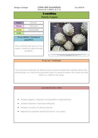 L'atles dels invertebrats | PDF