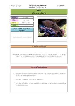 Biologia i Geologia L'atles dels invertebrats Curs 2015/16
Alumnes de 1r d'ESO A, B, C i D
Pop
Octopus vulgaris
Regne Animal
Fílum Mol·luscs
Classe Cefalòpodes
Ordre -
El seu hàbitat / Distribució
geogràfica
Aigua salada, a la mar oberta.
El seu cos / Morfologia
Té 8 cames amb ventosa( tentacles), té un sifó, l’ull i la massa visceral. Té un cervell
gran , un sistema circulatori , sistema digestiu i un sistema respiratori.
Les seves funcions vitals
 Sistema digestiu: són depredadors. Atrapen a les seves preses amb els tentacles i
els devoren amb les mandíbules.
 Sistema respiratori: Respiren per brànquies.
 Sistema circulatori. Presenten circulació tancada. Presenten un cor acompanyat
de vasos i llacunes.
 