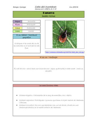 Biologia i Geologia L'atles dels invertebrats Curs 2015/16
Alumnes de 1r d'ESO A, B, C i D
Paparra
Ixodes ricinus
Regne Animalia
Fílum Arthropoda
Classe Arachnida
Ordre Ixodida
El seu hàbitat / Distribució
geogràfica
S’ubiquen a les zones del cos de
les mascotes on la seva pell és més
fina.
https://commons.wikimedia.org/wiki/File:Adult_deer_tick.jpg
El seu cos / Morfologia
És rodó de color marró amb una closca de color negre, quatre potes a cada costat i amb un
cap petit.
Les seves funcions vitals
 Sistema digestiu: S’alimenten de la sang de mamífers, aus i rèptils.
 Sistema respiratori: Filotràquees o pulmons que tenen a la part ventral de l’abdomen
i làmines.
 Sistema circulatori: Dos cors que apareixen com un tub dorsal, situats en una
cambra pericàrdica, en la meitat anterior de l’abdomen.
 