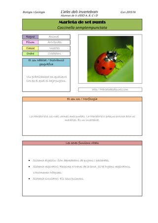Biologia i Geologia L'atles dels invertebrats Curs 2015/16
Alumnes de 1r d'ESO A, B, C i D
Marieta de set punts
Coccinella semptempunctata
Regne Animal
Fílum Artròpodes
Classe Insectes
Ordre Coleòpters
El seu hàbitat / Distribució
geogràfica
Viu pràcticament en qualsevol
lloc en el qual hi haja pugons.
http://Marietadesetpunts.com
El seu cos / Morfologia
La Marieta té el cos rodó, vermell amb puntets. La Marieta té 6 potes,no provoca dolor ni
malalties. És un invertebrat.
Les seves funcions vitals
 Sistema digestiu: Són depredadors de pugons i pasteretes.
 Sistema respiratori: Respiren a traves de la boca. Sí té òrgans respiratoris,
s'anomenen tràquees.
 Sistema circulatori: Els seus pulmons.
 