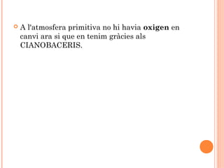 

A l'atmosfera primitiva no hi havia oxigen en
canvi ara si que en tenim gràcies als
CIANOBACERIS.

 