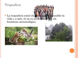 Troposfera


La troposfera conté els gasos que fan possible la
vida i, a més, és on es produeixen tots els
fenòmens meteorològics.

 