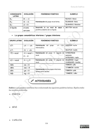 Evolución fonética
116
• Los grupos consonánticos interiores / grupos interiores
Indica a qué palabra castellana han evolucionado las siguientes palabras latinas. Explica todos
los cambios producidos.
• PŎRCŬM
• BĔNĔ
• CAPĬLLŬM
CONSONANTE
LATINA
EVOLUCIÓN FENÓMENO FONÉTICO EJEMPLO
PL- Pl-  ll PLANOS  llanos
FL- fl-  ll- Palatalización del grupo inicial latino. FLAMMAM  llama
CL- cl-  ll- CLAMABAS  llamabas
S líquida s+cons 
es+cons
Desarrollo de una vocal de apoyo o
protética delante de la s líquida
SCUTŬM  escudo
GRUPO LATINO EVOLUCIÓN FENÓMENO FONÉTICO EJEMPLO
-CT- -ct-  -ch- Palatalización del grupo -ct- /-lt-
intervocálico.
NOCTEM  noche
-LT- -lt-  -ch- MULTUM  mucho
-TI + vocal -ti + vocal  -
ci-, -z-
Palatalización del grupo –ti- seguido de
vocal.
PATIENTIAM 
paciencia
RATIONEM  razón
-LI- + vocal -li-  j, ll Palatalización del grupo –li- seguido de
vocal.
MULIEREM  mujer
HUMILIARE  humillar
-NN- -nn-  ñ
Palatalización de los grupos interiores
latinos entre vocales.
PINNAM  piña
-MN- -mn-  ñ STAMNŬM  estaño
-GN- -gn-  ñ PŪGNŬM  puño
-NG- -ng-  ñ TANGERE  tañer
 ACTIVIDADES
 