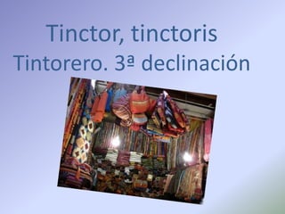 Tinctor, tinctoris
Tintorero. 3ª declinación
 
