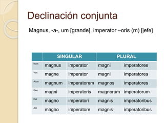 Declinación conjunta 
Magnus, -a-, um [grande], imperator –oris (m) [jefe] 
SINGULAR PLURAL 
Nom magnus imperator magni im...