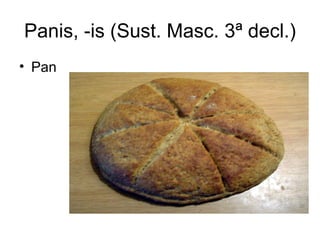 Panis, -is (Sust. Masc. 3ª decl.)
• Pan
 