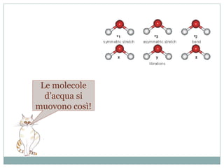 Questo l’avevo capito anch’io