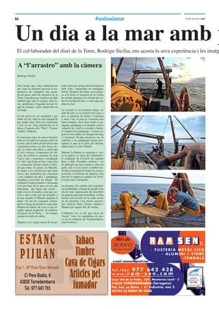 1616 #undiaalamar#undiaalamar JUNY DE 2014 ddT
Feia temps que volia embarcar-me
per viure en primera persona la ex-
periència de compartir una jorna-
da de pesca amb els mariners de la
Torre i aproﬁtar per realitzar un dels
hobbies que més m’agrada, tirar fo-
tos; problemes d’agenda havien fet
que la jornada s’anés endarrerint en
el temps.
El dia havia de ser assolellat i per
sobre de tot, amb la mar tranquil·la
per poder tirar fotos en condicions
i així va ser. Vaig enrolar-me en la
barca d’arrastro del “Pata”, Txema,
Andrés i Manolo.
La travessia cap a la zona d’arrastro
amb el sol traient el cap per sobre de
la mar i per d’entre els núvols és una
experiència única; la mar fosca, ne-
gra, es torna més blava a mida que
el sol s’aixeca, s’esquerden els nú-
vols, ha arribat el moment de tirar
l’art a mar i començar a arreplegar
el “fato” que hi ha al fons; feina feta
i a esmorzar! primer ranxet d’abor-
do que tasto, el cuiner, en Manolo,
fa honor a les referències que tenia
seves, una amanideta per començar
i una miqueta de peix i gadagangs
fregidets, excel·lent tot plegat. El
moment d’espera mentre s’arrossega
l’art pel fons de la mar serveix per
descansar, per llegir, per xerrar…
però avui és divendres, així que ser-
virà a més a més per fer dissabte a
la nau mentre el Manolo prepara el
dinar. No ho he comentat encara,
però el barça ha perdut la copa anit.
Parlem de futbol, de com es pot ar-
reglar aquest desgavell, de política,
de pesca, de la Torre… tot sempre
mirant de reüll els cables.
Migdia a cel, segon ranxet de la jor-
nada, arrós de canana, daus de tonyina
amb ceba i amanideta de tomàquet,
brutal. Després del dinar, toca posar-
se a la feina, el moment de la veritat
ha arribat, preparen la coberta per re-
bre la xorrada del dia, a veure que ens
dóna la mar.
La xorrada és un moment màgic, de
matí de reis, es va traient l’art a poc a
poc, es pleguen les portes i comença
a surar l’art, el pata ja s’ensuma una
bona jornada. Avui hem sortit al ga-
ragang, gadagang o escamarlà, com li
vulgueu dir. Amb la xorrada a bordo,
se separen els gadagangs i el peix se-
gons el seu calibre, es netegen de fang
i s’encaixen. El peix encara és viu, fa
saltirons i els gadagangs encara pes-
siguen el que se’ls posa pel davant,
algun renec se sent a bordo.
Darrere la bruma es comença a veu-
re la galera, la serra del montmell i
el campanar de Creixell, de seguida
Baix a Mar. Nosaltres arribem i els
de palangre de fons surten a calar els
galls com si d’un canvi al futbol fos.
Arriba el moment de treure les caixes,
pesar-les i conﬁrmar els auguris. Una
part de la captura es queda a la Torre,
la resta cap a Tarragona.
La jornada s’ha acabat, una experièn-
cia inoblidable, a banda de gaudir d’un
dia de mar espectacular he descobert
un grup de persones increïbles, m’han
tractat com un més de la colla, atents
en tot moment a les meves necessi-
tats. Gràcies Pata, Txema, Andrés i
Manolo per aquest dia, de veritat.
L’Eduardo em va dir que havia de
“tastar” totes les modalitats de pes-
ca de la confraria de Torredembarra,
som-hi doncs!.
A “l’arrastro” amb la càmera
Rodrigo Sicilia
Un dia a la mar amb p
El col·laborador del diari de la Torre, Rodrigo Sicilia, ens acosta la seva experiència i les imatg
ESTANC
PIJUAN
Tabacs
Timbre
CavadeCigars
Articlespel
fumador
C/ Pere Badia, 6
43830 Torredembarra
Tel. 977 643 783
Exp.1 - Mª Rosa Pijuan Mercadé
 