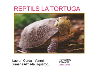 REPTILS LA TORTUGA




                          TERCER DE
Laura Cerdà Vanrell       PRIMARIA
Ximena Almada Izquerdo.   2011-2012
 