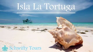 Schwifty Tours
Isla La Tortuga
 