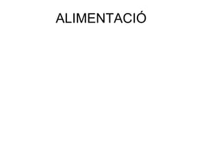 ALIMENTACIÓ 