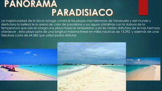 La majestuosidad de la isla la tortuga consta le las playas mas hermosas de Venezuela y del mundo y
desfrutara la belleza le la arena de color de porcelana y sus aguas cristalinas con la dulzura de la
temperatura que solo le otorga una playa tropical venezolana ,y en las tardes disfrutara de el mas hermoso
atardecer , esta playa opta de una longitud máxima lineal en millas náuticas de 13.292 y además de unas
fabulosa costa de 64.586 que usted podrá disfrutar.
 