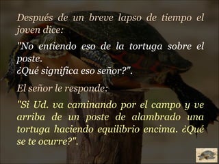 Después de un breve lapso de tiempo el joven dice:  "No entiendo eso de la tortuga sobre el poste.   ¿Qué significa eso señor?". El señor le responde:   "Si Ud. va caminando por el campo y ve arriba de un poste de alambrado una tortuga haciendo equilibrio encima. ¿Qué se te ocurre?". 