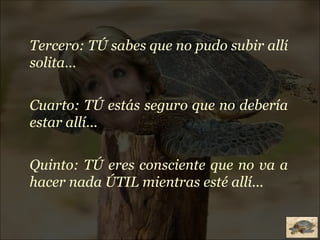 Tercero: TÚ sabes que no pudo subir allí solita… Cuarto: TÚ estás seguro que no debería estar allí... Quinto: TÚ eres consciente que no va a hacer nada ÚTIL mientras esté allí... 