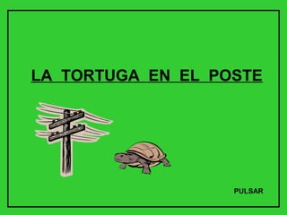 LA TORTUGA EN EL POSTE




                   PULSAR
 