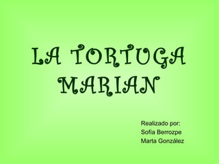 LA TORTUGA MARIAN Realizado por: Sofía Berrozpe Marta González 