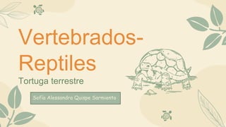 Vertebrados-
Reptiles
Tortuga terrestre
Sofía Alessandra Quispe Sarmiento
 