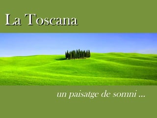 La Toscana un paisatge de somni … 