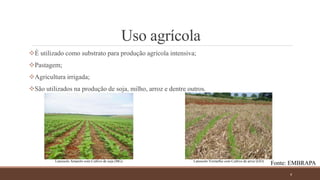 Uso agrícola
É utilizado como substrato para produção agrícola intensiva;
Pastagem;
Agricultura irrigada;
São utilizados na produção de soja, milho, arroz e dentre outros.
4
Latossolo Amarelo com Cultivo de soja (MG) Latossolo Vermelho com Cultivo de arroz (GO)
Fonte: EMBRAPA
 