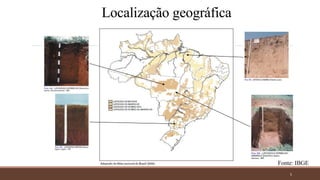 Localização geográfica
5
Fonte: IBGE
 