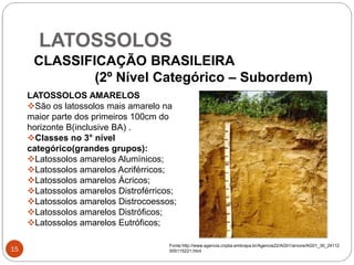 LATOSSOLOS
15
CLASSIFICAÇÃO BRASILEIRA
(2º Nível Categórico – Subordem)
LATOSSOLOS AMARELOS
São os latossolos mais amarelo na
maior parte dos primeiros 100cm do
horizonte B(inclusive BA) .
Classes no 3° nível
categórico(grandes grupos):
Latossolos amarelos Alumínicos;
Latossolos amarelos Acriférricos;
Latossolos amarelos Ácricos;
Latossolos amarelos Distroférricos;
Latossolos amarelos Distrocoessos;
Latossolos amarelos Distróficos;
Latossolos amarelos Eutróficos;
Fonte:http://www.agencia.cnptia.embrapa.br/Agencia22/AG01/arvore/AG01_30_24112
005115221.html
 