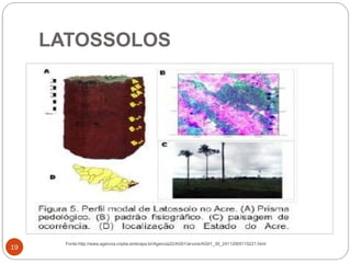 19
LATOSSOLOS
Fonte:http://www.agencia.cnptia.embrapa.br/Agencia22/AG01/arvore/AG01_30_24112005115221.html
 