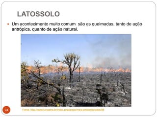 LATOSSOLO
24
 Um acontecimento muito comum são as queimadas, tanto de ação
antrópica, quanto de ação natural.
Fonte: http://www.funceme.br/index.php/areas/meio-ambiente/solos/98
 