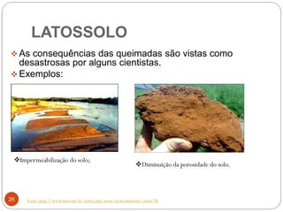 26
 As consequências das queimadas são vistas como
desastrosas por alguns cientistas.
 Exemplos:
LATOSSOLO
Fonte: http://www.funceme.br/index.php/areas/meio-ambiente/solos/98
Impermeabilização do solo;
Diminuição da porosidade do solo.
 