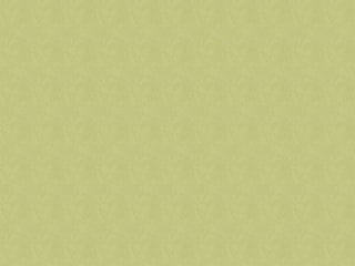 Summer in the saddle