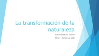 La transformación de la
naturaleza
Castañeda Báez Yazmin
Linares Manjarrez Gabi
 