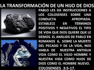 PABLO LES DA INSTRUCCIONES A LOS COLOSENSES SOBRE UNA CONDUCTA APROPIADA. ESTABLECE EN TÉRMINOS POSITIVOS Y NEGATIVOS EL TIPO DE VIDA QUE DIOS QUIERE QUE LE DEMOS. EL ANÁLISIS DE PABLO EN ROMANOS  6,  SOBRE LA MUERTE DEL PECADO Y DE LA VIDA, NOS HABLA DE  NUESTRA ANTIGUA VIDA COMO EL VIEJO HOMBRE Y NUESTRA VIDA COMO HIJOS DE DIOS COMO EL HOMBRE NUEVO.  COLOSENSES .. 3:5-17. LA TRANSFORMACIÓN DE UN HIJO DE DIOS 