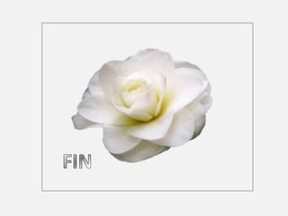 La traviata. activités