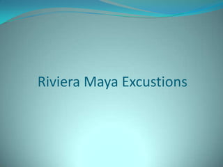 Riviera Maya Excustions

 
