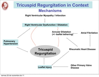 Tricuspid Regurgitation in Context
                                             Mechanisms
                                Right Ventricular Myopathy / Infarction



                                Right Ventricular Dysfunction / Dilatation


                                                              Annular Dilatation           Atrial Fibrilation
                                                              (+/- leaflet tethering)


   Pulmonary
   Hypertension

                                           Tricuspid                            Rheumatic Heart Disease

                                         Regurgitation


                                                                                  Other Primary Valve
                                             Leaflet Injury                       Disease


viernes 25 de noviembre de 11
 