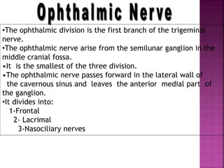 •The ophthalmic division is the first branch of the trigeminal
nerve.
•The ophthalmic nerve arise from the semilunar ganglion in the
middle cranial fossa.
•It is the smallest of the three division.
•The ophthalmic nerve passes forward in the lateral wall of
the cavernous sinus and leaves the anterior medial part of
the ganglion.
•It divides into:
1-Frontal
2- Lacrimal
3-Nasociliary nerves
 