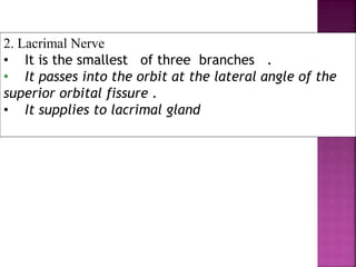 2. Lacrimal Nerve
• It is the smallest of three branches .
• It passes into the orbit at the lateral angle of the
superior orbital fissure .
• It supplies to lacrimal gland
 