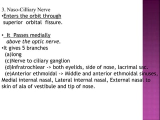 3. Naso-Cilliary Nerve
•Enters the orbit through
superior orbital fissure.
• It Passes medially
above the optic nerve.
•It gives 5 branches
(a)long
(c)Nerve to ciliary ganglion
(d)Infratrochlear -> both eyelids, side of nose, lacrimal sac.
(e)Anterior ethmoidal -> Middle and anterior ethmoidal sinuses,
Medial internal nasal, Lateral internal nasal, External nasal to
skin of ala of vestibule and tip of nose.
 